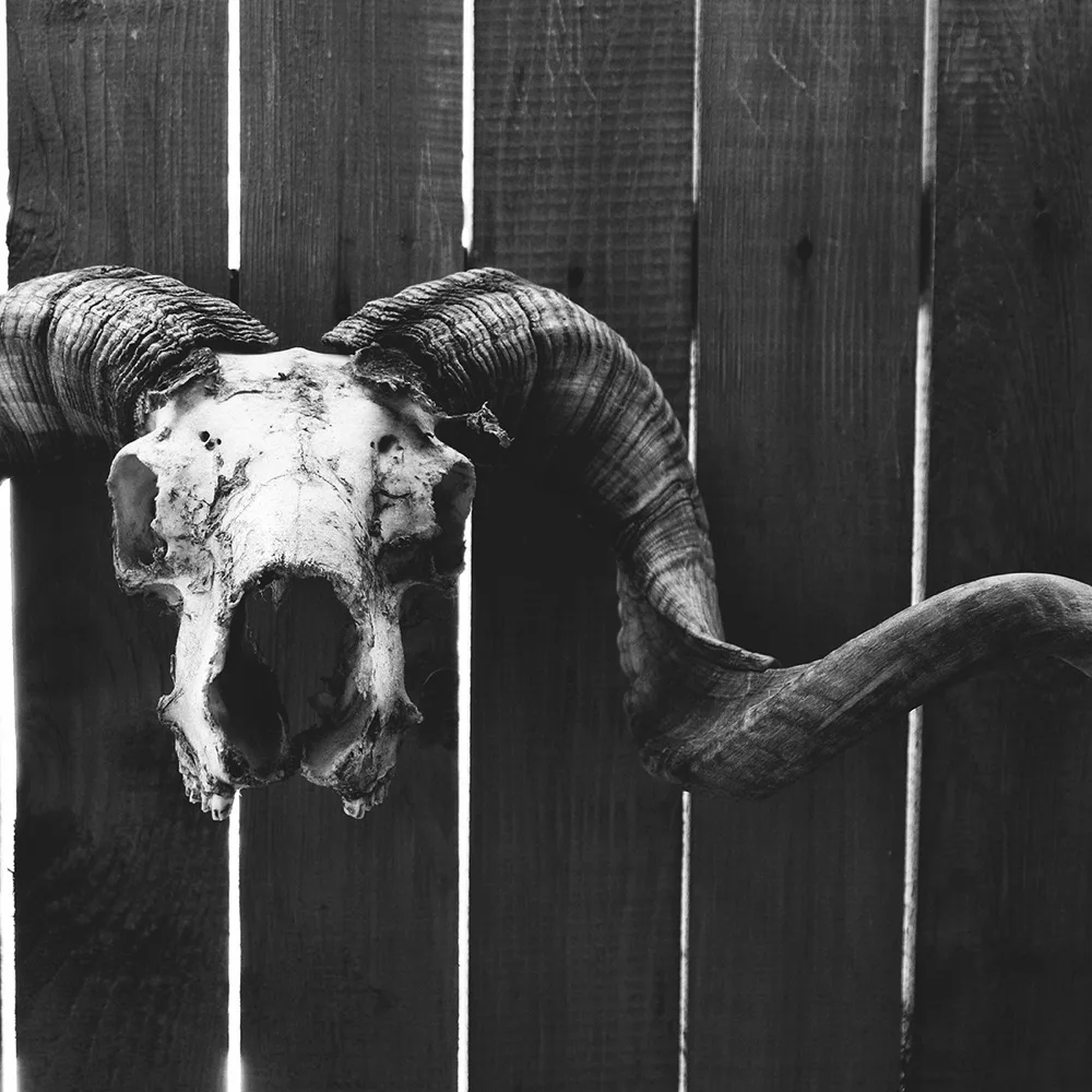 The Mortician: archive portrait